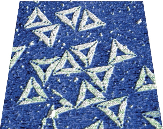 DNA origami triangles
