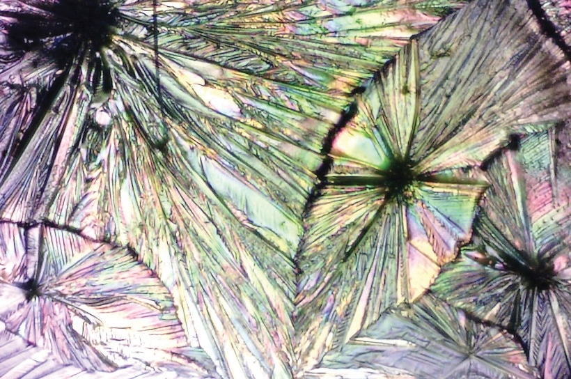 Benzocaine anesthetic crystal film top - video micrograph