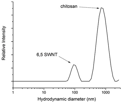 Graph depicting a DLS measurement of a suspension of (6,5)-SWNT dispersed in 0.2% w/w chitosan in water. The DLS measurement was graphed as an average of 14 runs and chitosan has a molecular weight ranging from 190 - 310 kDa.
