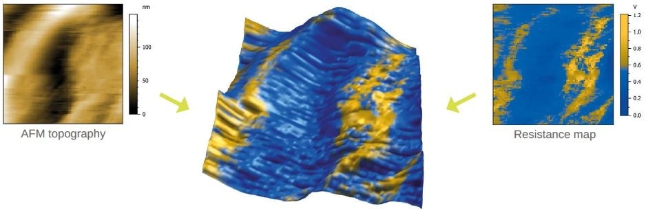 Superimposition of the two layers shows a high correspondence between resistance-related structural defects and topography in the GO sample irradiated in gaseous conditions.