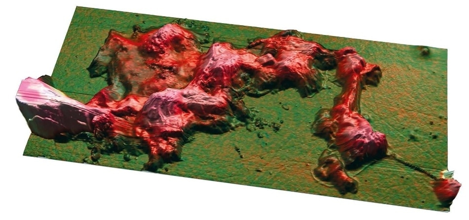 Co-localization (overlay) of AFM topography and nanoscale infrared (IR) image of degraded collagen using MountainsMap®.