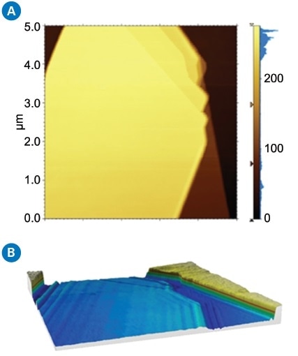 (a) AFM height image shows homogeneous hBN surface with different layers on a Si substrate; (b) s-SNOM amplitude shows strong interference fringes due to propagating SPhP along the surface on hBN; (c) s-SNOM phase shows a different phase signal with layer thickness; and (d) nano FTIR spectra of hBN.
