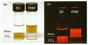 QDs coated with tri-n-octyl phosphine oxide (tri) and mercaptoacetic acid (mer) under (a) ambient and (b) ultraviolet illumination. The upper layer is water; the lower layer is CCL4.