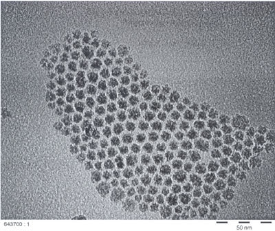 TEM micrograph of air-stable 10 nm cobalt particles.