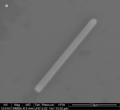 Multi-walled carbon nanotubes bound on the silicon surface.