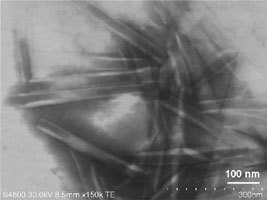 AZoNano - The A to Z of Nanotechnology - A scanning electron microscopic image (transmission mode) of white organic nanotubes in the solid powdery state.