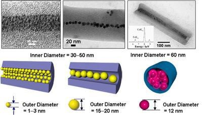 AZoNano - The A to Z of Nanotechnology - Transmission electron micrographs of nanotubes with inner diameters of 30-50 nm, encapsulating gold nanoparticles with different sizes, respectively. (Right) a transmission electron micrograph of a nanotube with an inner diameter of 60 nm, encapsulating ferritin with an outer diameter of 12 nm.