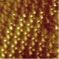 STM image of self-assembled monolayers (SAMs) of 1-octanethiol (CH3(CH2)7SH) on a gold/mica substrate - 6nm x 6nm image