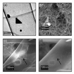 Microscopy of nanotube probes. (a) TEM picture of a triangle and spherical particle inside a nanopipe. (b) SEM image of a triangle and a hexagonal particle attached to MWNT by the Bingel reaction. (c) An SEM image of a triangle inside a nanopipe made transparent by the high voltage (25 kV). (d) An SEM image of the same nanopipe as in (c) with an accelerating voltage of 4 kV, showing nothing in the region of (c), meaning that the triangle is located on the inside of the tube.