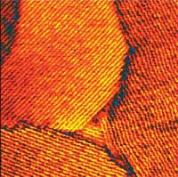Phase image of a C60H122 monolayer selfassembled on graphite clearly showing lamellar fine structure associated with the self-assembly. Image size 390nm. Closed loop active.