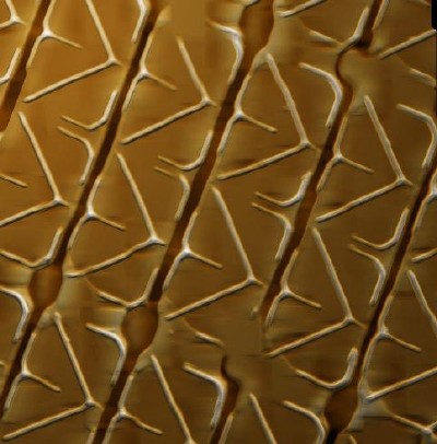 AFM stitching image of an LCD panel. The image (560 µm x 570 µm; shown here at 160-fold magnification) is the result of 10x10 images recorded and stitched using the Nanosurf Nanite B and the stitching features of the Nanosurf Control and Report software. The result is comparable in size to the optical picture shown in Figure 1, but in this case offers much more detail and 3D data.