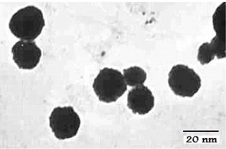 TEM image of Ag nano particles