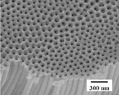SEM micrographs of surface-modified titanium implants: Morphology of MAO treated surface (top) , anodized surface (middle) and cross-sectional view of HA coating on Ti substrate (bottom).