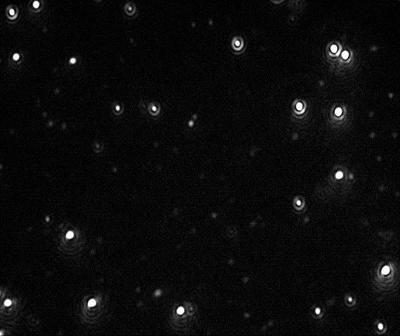 Video image of 60 nm Gold particles as captured by the NanoSight LM10 instrument.
