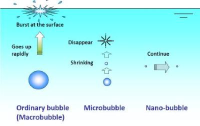 The formation of nanobubbles.