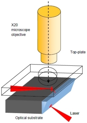 Schematic showing the optical path of the laser beam and the detection objective viewing the beam through the window.