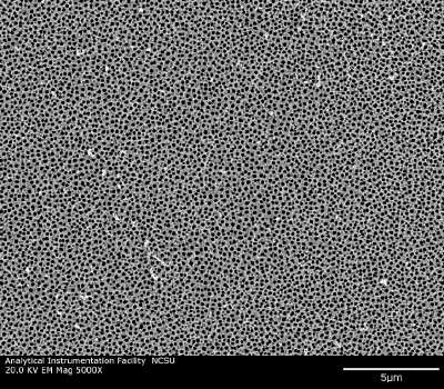 Plan-view scanning electron micrograph of a nanoporous alumina membrane after deposition of a conformal titanium oxide coating by means of atomic layer deposition.