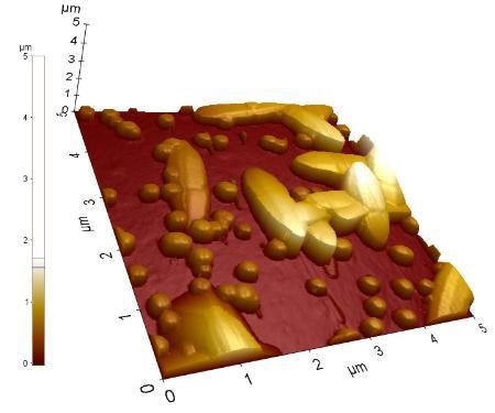 Surface morphology at the 5 µm × 5 µm scale of ZnO nanorod samples grown on GaN templates (a) 3D view and (b) top view with line analysis information. The image was acquired using high aspect ratio tip probes at 0.15 Hz with 256 x 256 pixel resolution.