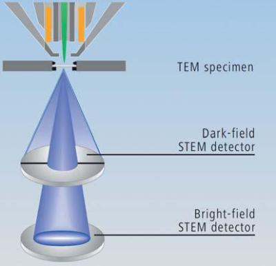 The unique arrangement of both brightfield (BF) and darkfield (DF) diodes in the ZEISS Multi-Mode STEM detector. BF and DF electrons can be collected simultaneously and processed together. BF inverted DF is a typical configuration for large fields of view in excess of 100 microns with even illumination.