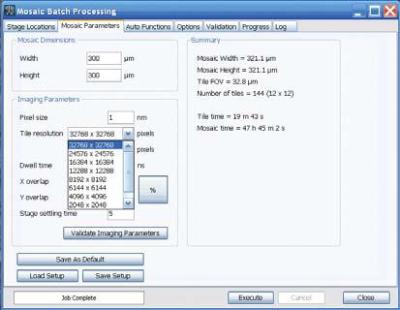 The mosaic option panel shows the arbitrary parameter setting and auto functions.