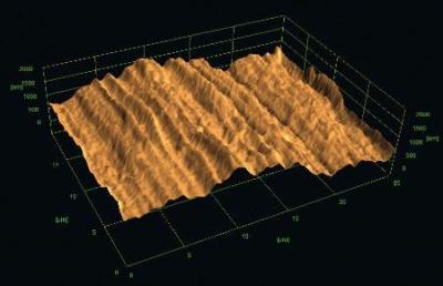 Surface roughness evaluation is a built-in feature in 3DSM.