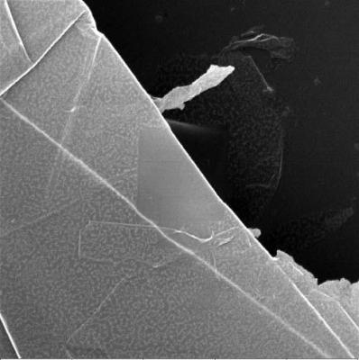 ORION® PLUS image of graphene layers (thickness not determined) showing surface modification. A small ion dose was applied to the outlined area. A thin surface layer could selectively be removed.