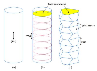 Different types of twinned microstructures observed in gold nanowires grown by wet chemistry. (a) Defect-free circular nanowire. (b) Periodically-twinned circular nanowire with constant twin boundary spacing (TBS). (c) Periodically-twinned nanowire with zigzag surface morphology made of {111} facets and constant TBS.
