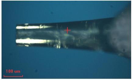 Flat-ended cylindrical punch tip (XP-style holder, 107.1µm diameter).