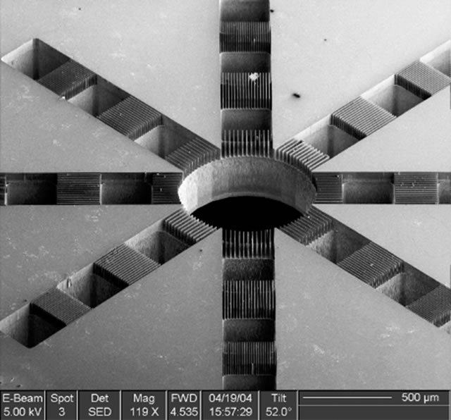Scanning electron microscopy image of an un-bonded filter device, viewed from the filtration side, showing linear channels and filter segments radiating from the central reservoir