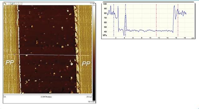 Modulus map of the cross-sectioned food packaging material on left. The outer layers are identified by the Raman data as polypropylene. The AFM data allow for quantification of the mechanical properties. The cross -sectional plot on the right highlights the drop in modulus from the outer to the inside layer and reveals some particles in the middle layer exhibiting higher modulus than the matrix.  AnchorThe Next Step