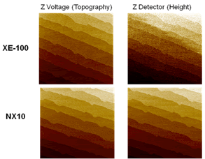 The topography images of a sapphire wafer obtained from XE-100 and NX10.