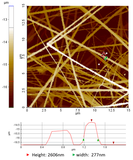 Dense collagen fibril networks imaged by the ARS/hopping ICM (top panel). The profile analysis (bottom panel) refers to the red line indicated in the ICM image.