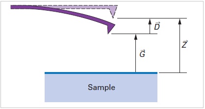 Deflection of a cantilever caused by tip-sample forces