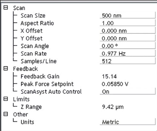 Screen shot of the basic SA interface. All feedback settings and the scan rate are automatically calculated by the AFM.