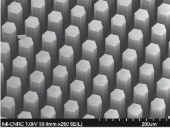 Nanopillars created by Nanoimprint Lithography (NIL). Courtesy of CIHR-NRC Convergent Research Framework 2004