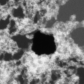 A high-res STEM image of the graphene pore from Oak Ridge National Laboratories. The image is about 32nm on a side, making the pore about 10nm across.