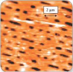 High-resolution NanoLens AFM image data of area of interest.