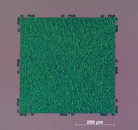 LM image of a Diffractive Optical Element exposed by EBL.