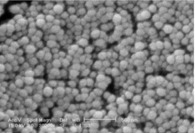 Scanning electron micrograph of chitosan-coated nanoparticles loaded with docetaxel.