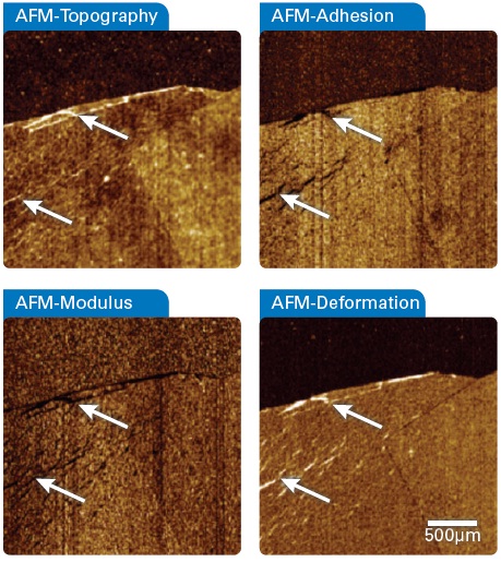 Simultaneously recorded quantitative nanomechanical AFM data of a single and double layer of the graphene flake. The wrinkles marked by arrows visible in the topography (top left) are strongly reflected in the mechanical property channels as being softer (bottom left) with less adhesion (top right) than the surrounding material. The deformation channel (bottom right) points to a strong plastic deformation of the graphene layers as they do not relax during the sub-millisecond contact time with the AFM probe.