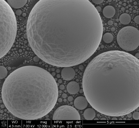 SEM image of Silicon Balls - EMI effects can be seen on feature edges