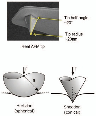(A) Comparison of force volume, PeakForce QNM and single-force measurements. (B) Typical AFM tip- often neither a sphere nor a cone perfectly describe its shape. Comparison between Hertzian (DMT) sphere and Sneddon cone models of elastic deformation. (C) Nanomechanics features in NanoScope Analysis enable the user to modify the force parameters, flatten the baseline when necessary, and choose between various models depending on the nature of the tip and sample.