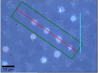 Video image of the area of interest. The area of the stack scans is shown in green and the red line shows the position of the single depth-scan.
