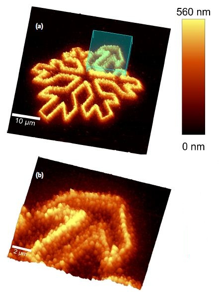 AFM Scan of the structure. Overview[a] and zoomed scan onto one of the structures[b].