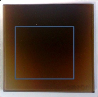 Photograph of the sample with the analysed area indicated by the rectangle.
