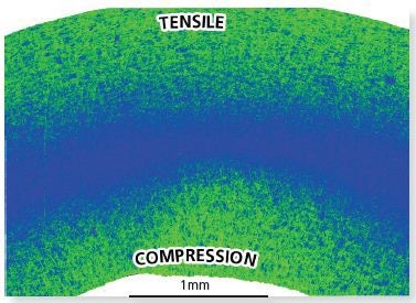 The Local Average Misorientation Map illustrates where there is a high level of misorientation within the sheet. The high misorientaion is an indication of areas of tensile and compressive strain as indicated.