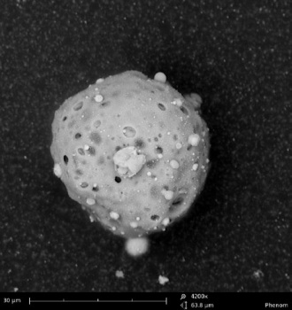 he image shows a potential GunShotResidue particle (6400x magnification). GSR particles can quite easily be recognized based on compositional information from the Phenom back scatter detector. The particle can be further analyzed by using the Phenom