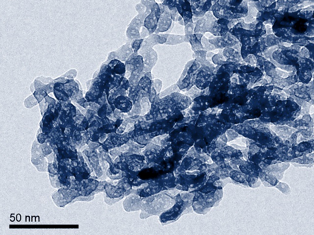 The hydroxyapatite nanoparticles present a size bellow 50 nm in a rod-like shape.