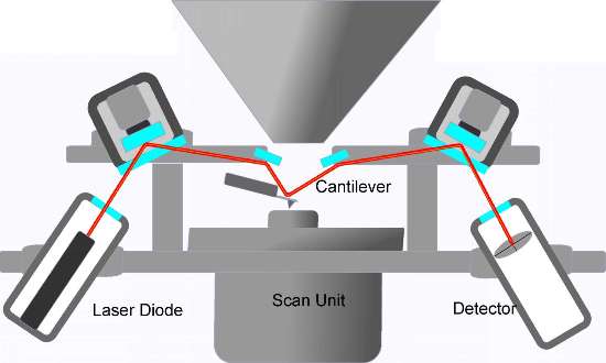 Schematic Diagram of cantilever deflection, AFM setup as realized in the AFM option