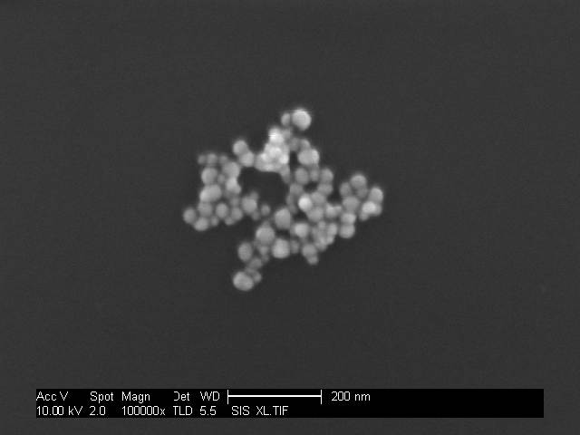 Electron microscope image of silver nanoparticles from MetNano
